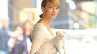 La gatita de Taylor Swift tiene mpas dinero que Travis Kelce