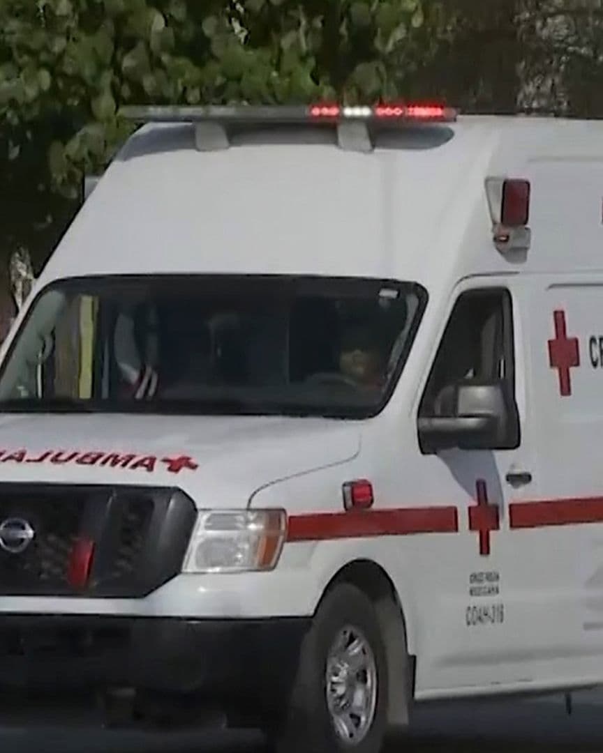 Abejas Atacan a Hombre de 87 Años en Ejido El Perú en Torreón, Coahuila
