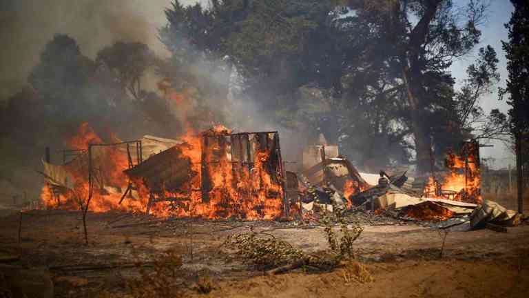 Incendios Forestales en Chile: Piden Ayuda a Mexico para Combatirlos