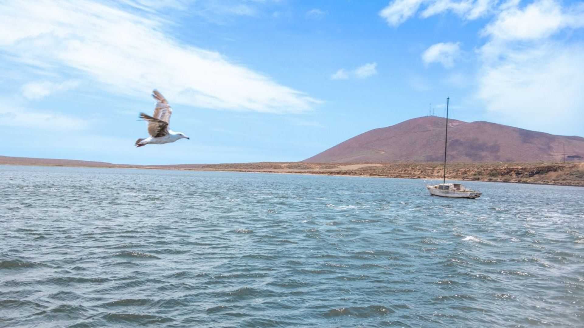 21 Playas Resultan Aptas para Uso Recreativo Durante este Verano en Baja California