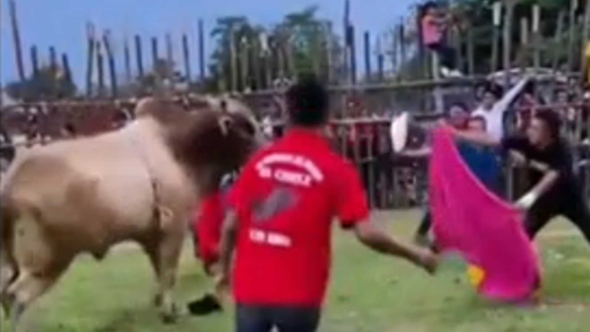 Jiente es atacado por toro en Tabasco