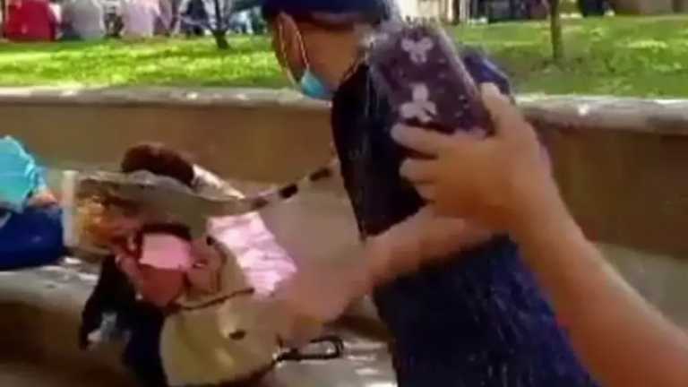 Una mujer que disfrutaba de un antojito se llevó tremendo susto cuando una iguana subió a su hombro para morder el alimento, en la plaza Lázaro Cárdenas, en Michoacán