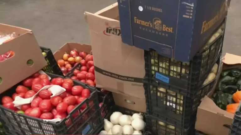 En la CDMX se desperdician miles de toneladas de alimentos al día y por ello surgieron los bancos de alimentos, que se dedican a recuperar esta comida; así funcionan