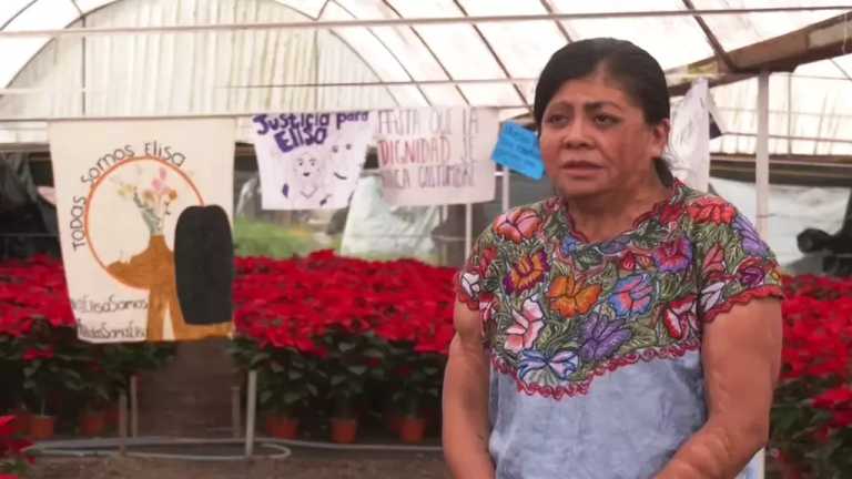 En 2001, Elisa Xolalpa, campesina chinampera de Xochimilco, fue rociada con ácido. A más de dos décadas del ataque, sigue sin obtener justicia. Mientras su agresor busca que el delito por tentativa de homicidio se reclasifique a lesiones