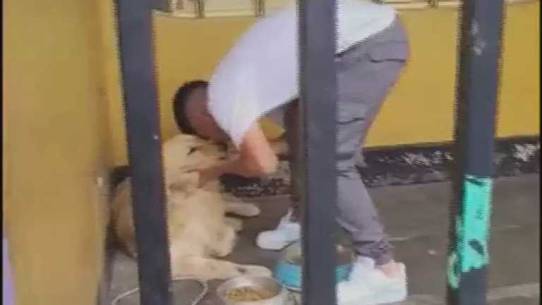 Un video que se hizo viral en redes sociales muestra la emotiva despedida de Piero Quispe con su perrito antes de viajar a México para ser el nuevo refuerzo de los Pumas