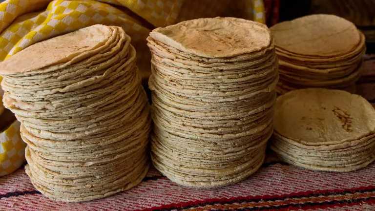 En México, el kilo de tortilla pasó de costar en promedio 14 pesos a 23 pesos en los últimos cinco años; así es cómo afecta a la población