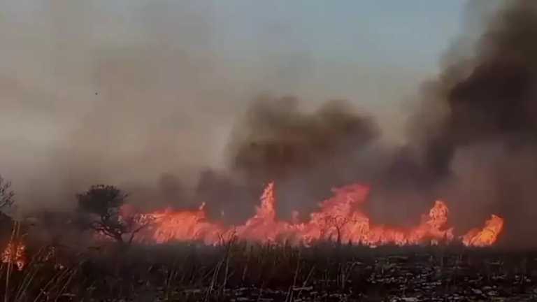 Un remolino de fuego que puso en riesgo la vida de 37 elementos de Protección Civil municipal de Chiapas y del equipo de respuesta inmediata; alcanzó 80 metros de altura