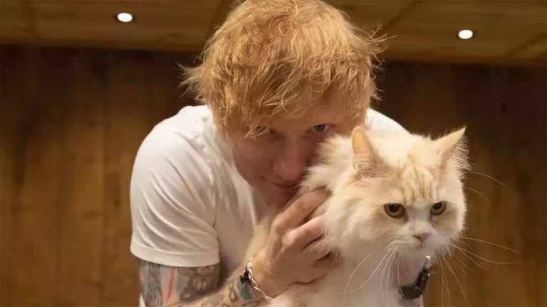 Un estudio de la firma Preply reveló que los temas de Ed Sheeran y U2 fueron elegidos como los que generan felicidad y ponen de buen humor a sus fans