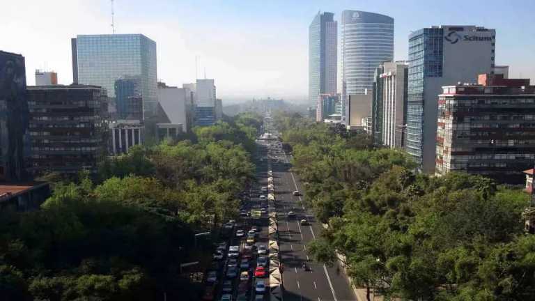 Pese a que los árboles pueden reducir las temperaturas en la ciudad hasta en 8 grados centígrados, la urbanización en la Ciudad de México ha promovido la tala descontrolad