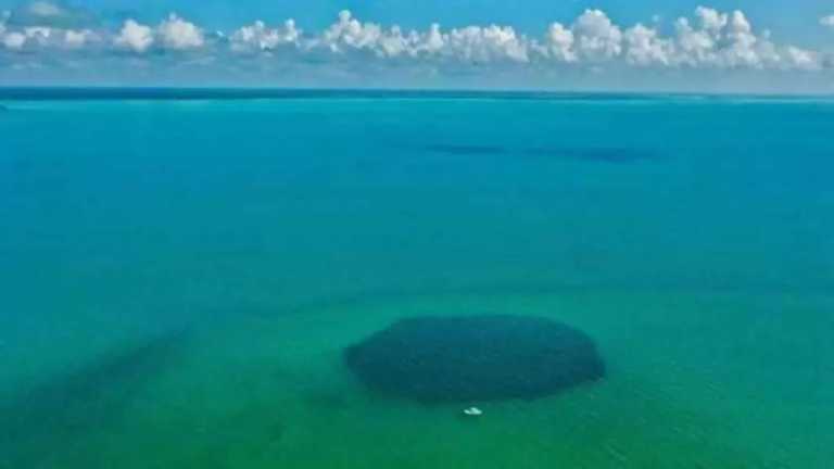 El agujero azul de Taam Ja’, en Chetumal, es el más profundo del mundo y nuevas mediciones sugieren que podrían existir conexiones subterráneas entre la bahía y el mar Caribe