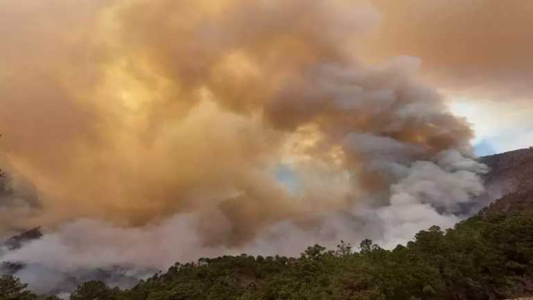 En Nuevo León, por aire y tierra combaten un incendio forestal en el paraje "Los Cuartones", en la Sierra de Santiago. El fuego que ha consumido ya cerca de 50 hectáreas de matorral y hojarasca