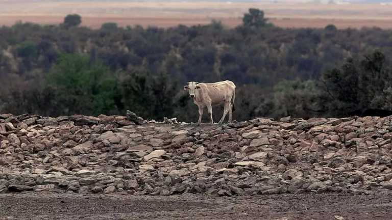 El clima extremo, con sequías, tormentas intensas y falta de agua, comienza a impactar con un aumento en los precios de productos como el azúcar, frijol y algunas frutas y hortalizas