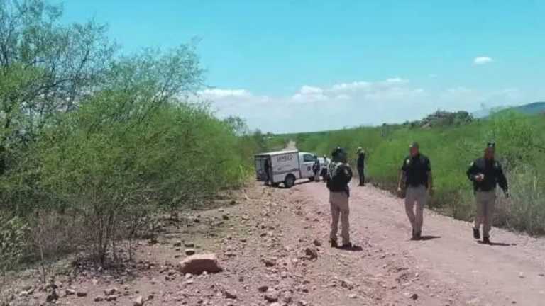 Integrantes de los colectivos localizaron los restos de por lo menos siete personas en Guaymas, Cajeme y Plutarco Elías Calles.