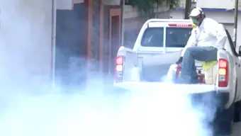 Casos de Dengue en Tamaulipas Van en Aumento; Presencia de Mosquitos es Preocupante