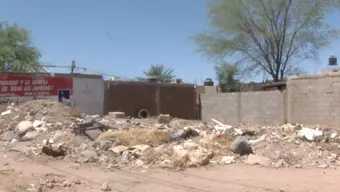 Incrementaron Reportes de Daño Ambiental en Hermosillo