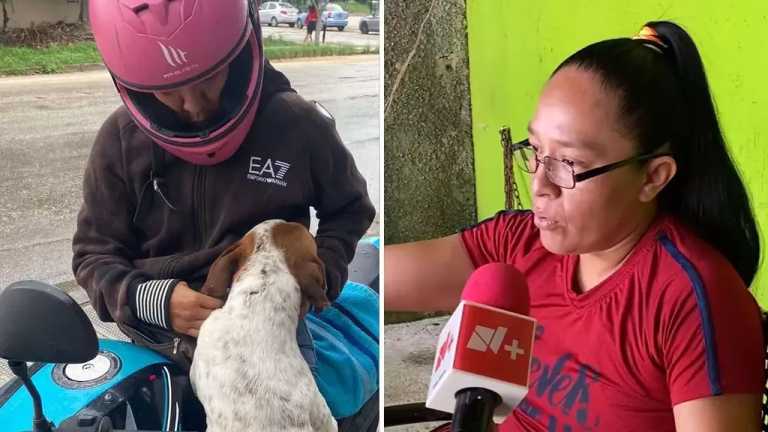 Su lucha no se limita al ring, sino que también abarca a aquellos que no pueden defenderse: los animales maltratados. Aline "La China" ha asegurado que en los últimos días ha sufrido tres atentados.