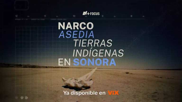 Las disputas entre cárteles de la droga en la región noroeste de Sonora han provocado que grupos armados invadan tierras ancestrales y ritos de las culturas indígenas Pápago y Tohono O'odham