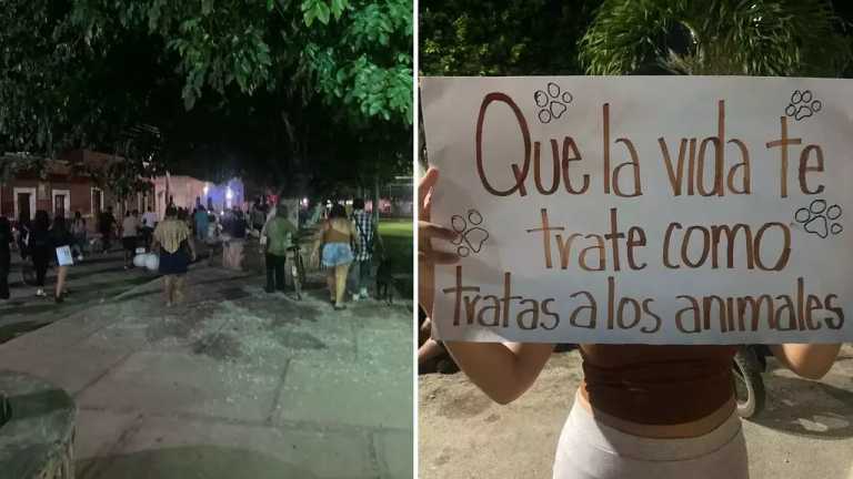 El envenenamiento masivo de al menos 15 perros y gatos en Ixil, Yucatán, ha causado indignación en esta población, motivó por el cual se realizó una marcha pacífica en contra del maltrato animal.