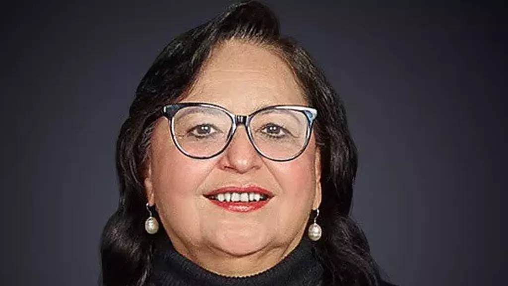 Norma Lucía Piña Hernández