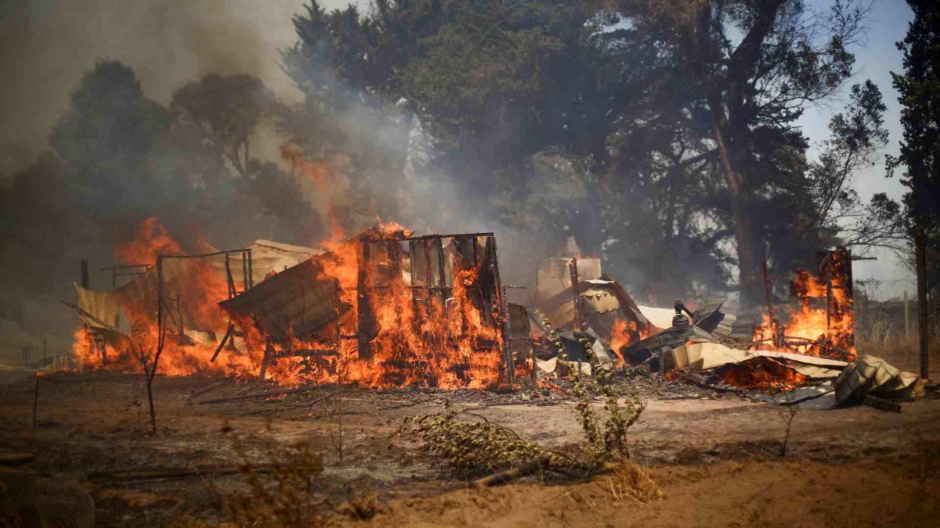 Incendios Forestales en Chile: Piden Ayuda a Mexico para Combatirlos