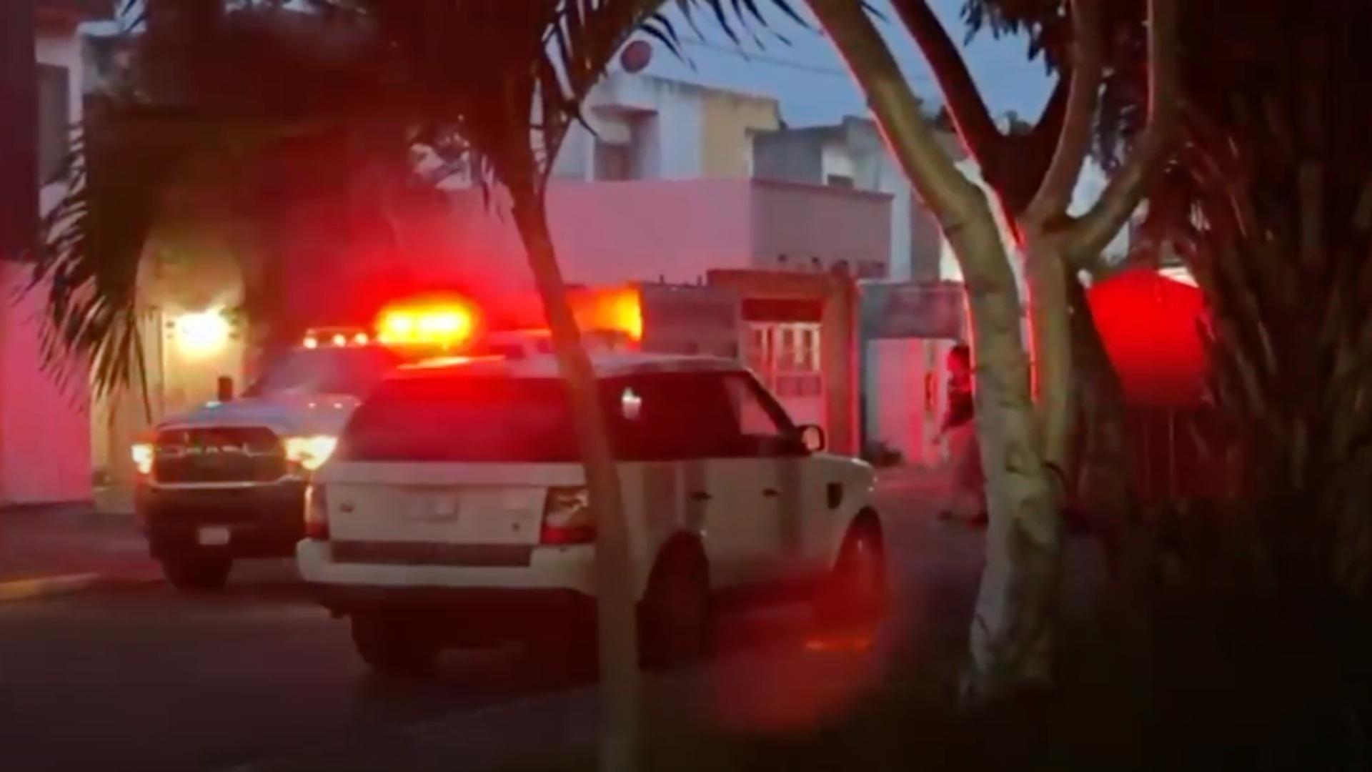 Hospitalizan a Hombre Atacado por Enjambre de Abejas en Boca del Río
