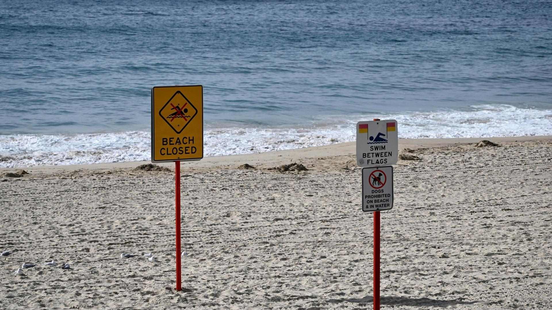 Aparecen Miles de Misteriosas Bolas Negras en Algunas Playas; Alertan por Riesgo en Animales