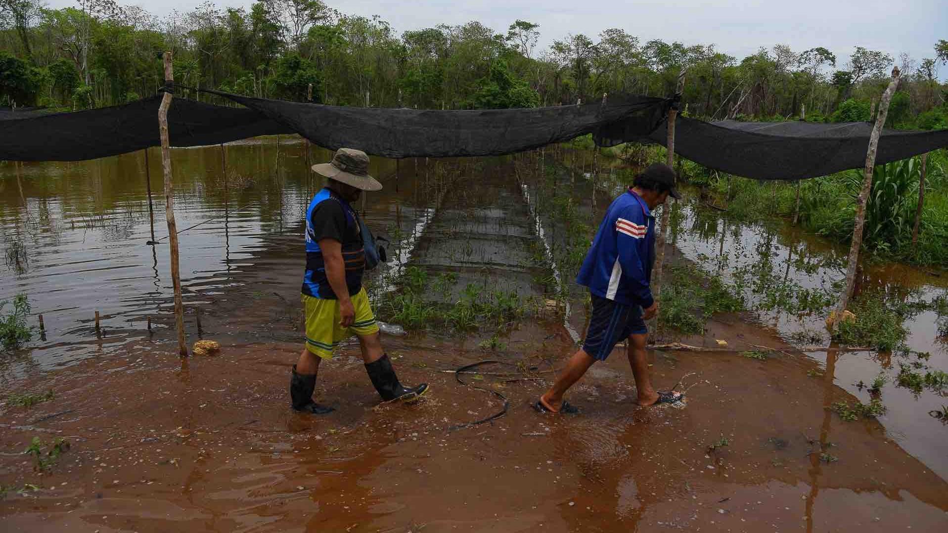 Foto: Lluvias en Campeche Afectan a Agricultores, Comerciantes y Artesanos