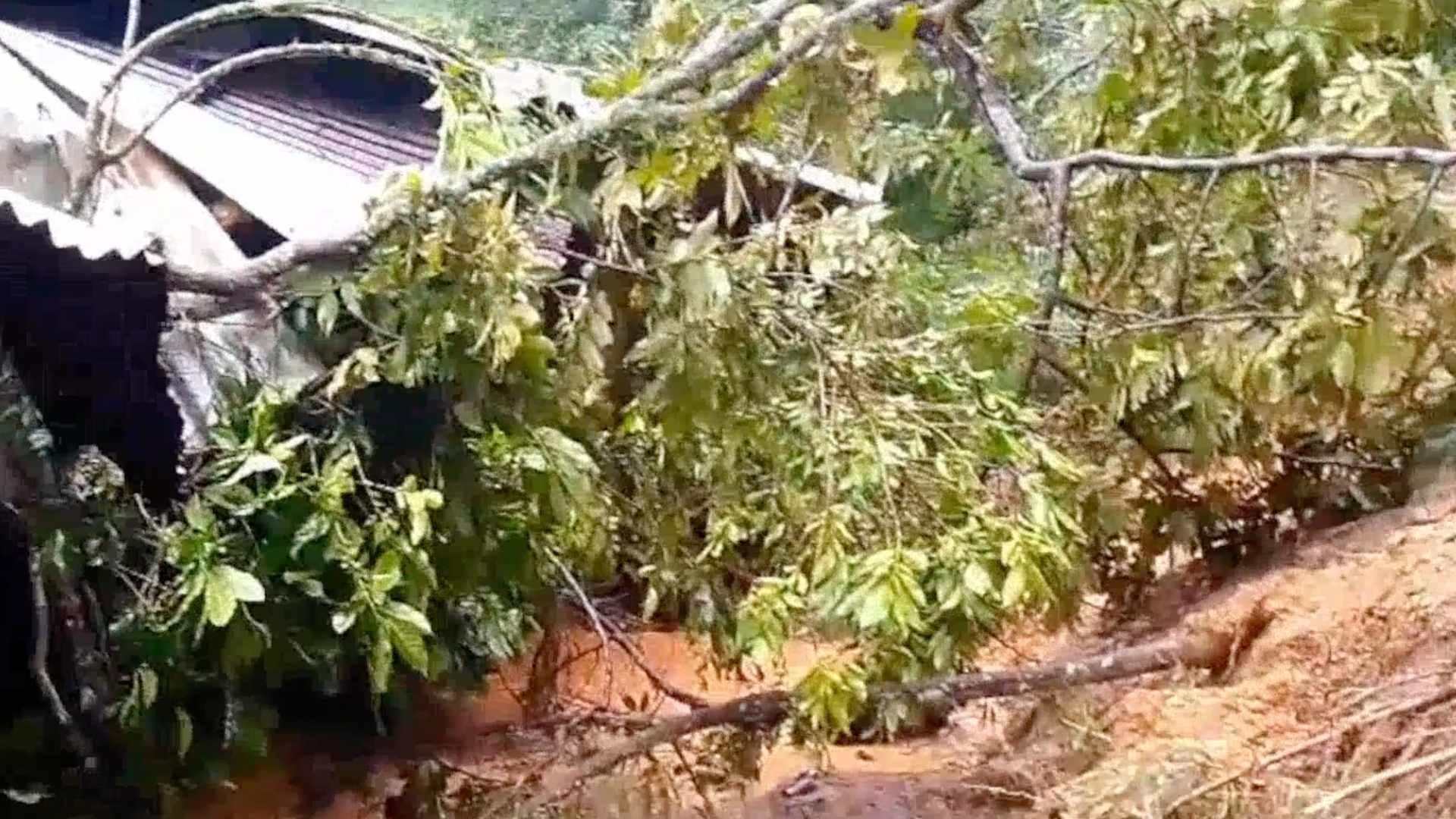 Muertas por las Lluvias 