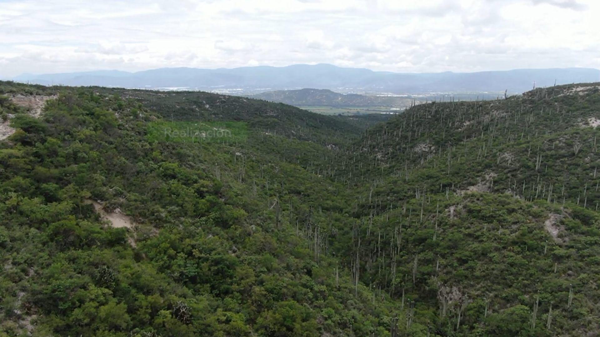 Paraíso Semidesértico en San Luis Temalacayuca en Puebla