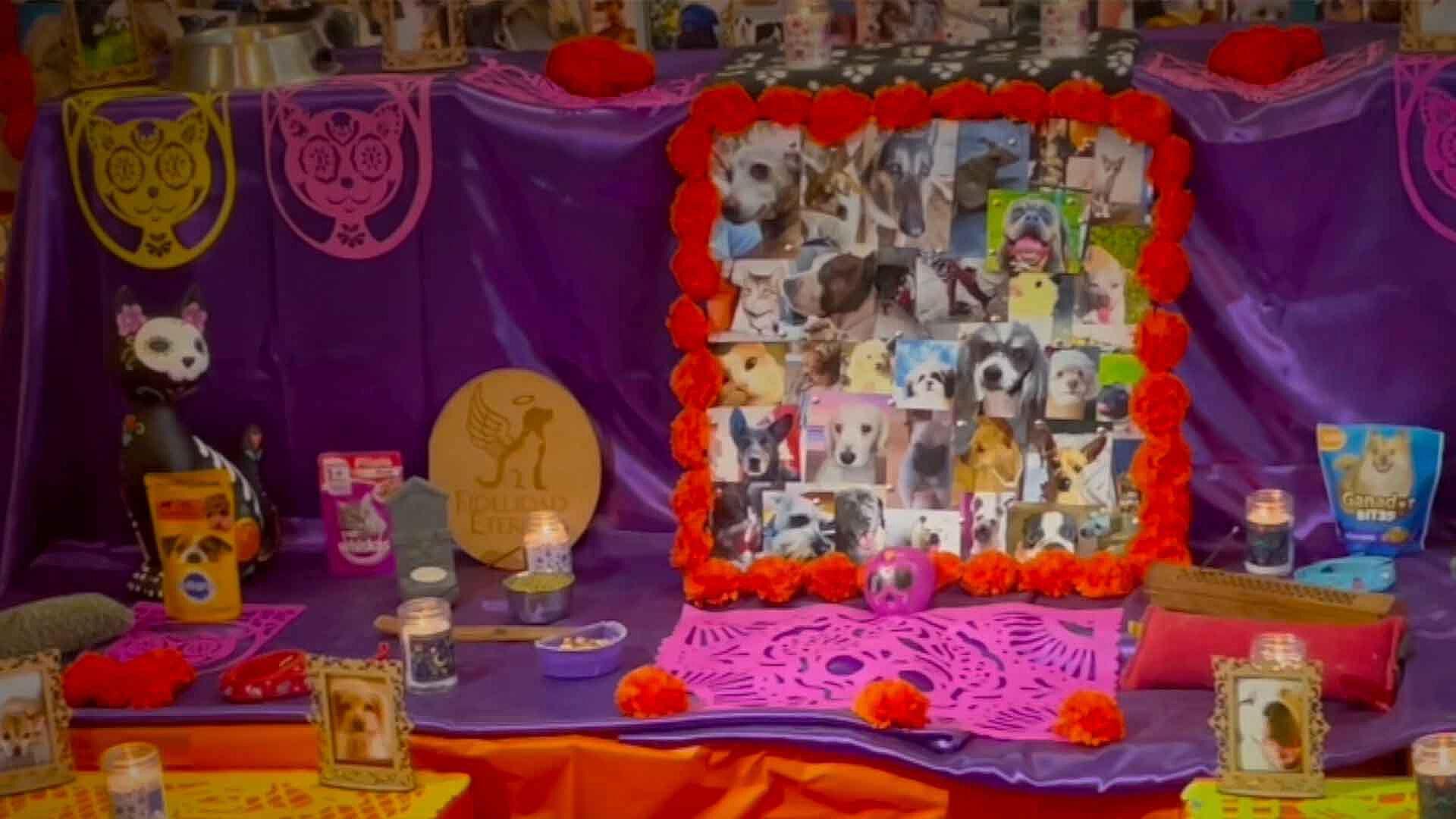 Realizarán Altar de Muertos Dedicado a Mascotas en Matamoros