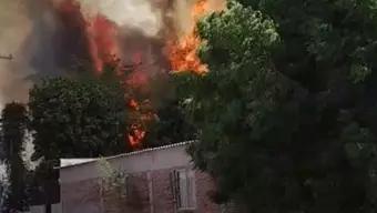 FOTO: Incendio Forestal Alcanza Casa en Guaymas, Sonora