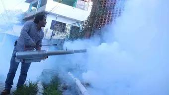 Foto: Aumento de Casos de Dengue en Yucatán por Últimas  Lluvias