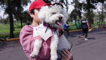 Foto: Día Mundial del Perro se Celebra con Caminata en CDMX
