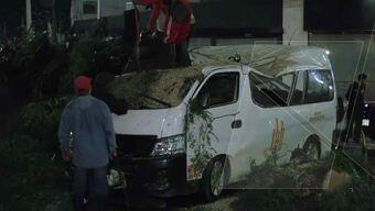 Tormenta Derriba Árbol que Cae sobre Combi de Pasajeros en Naucalpan, Edomex