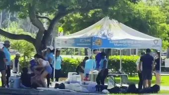 Foto: Cientos de Personas Salen al Rescate de las Playas en Florida, Estados Unidos