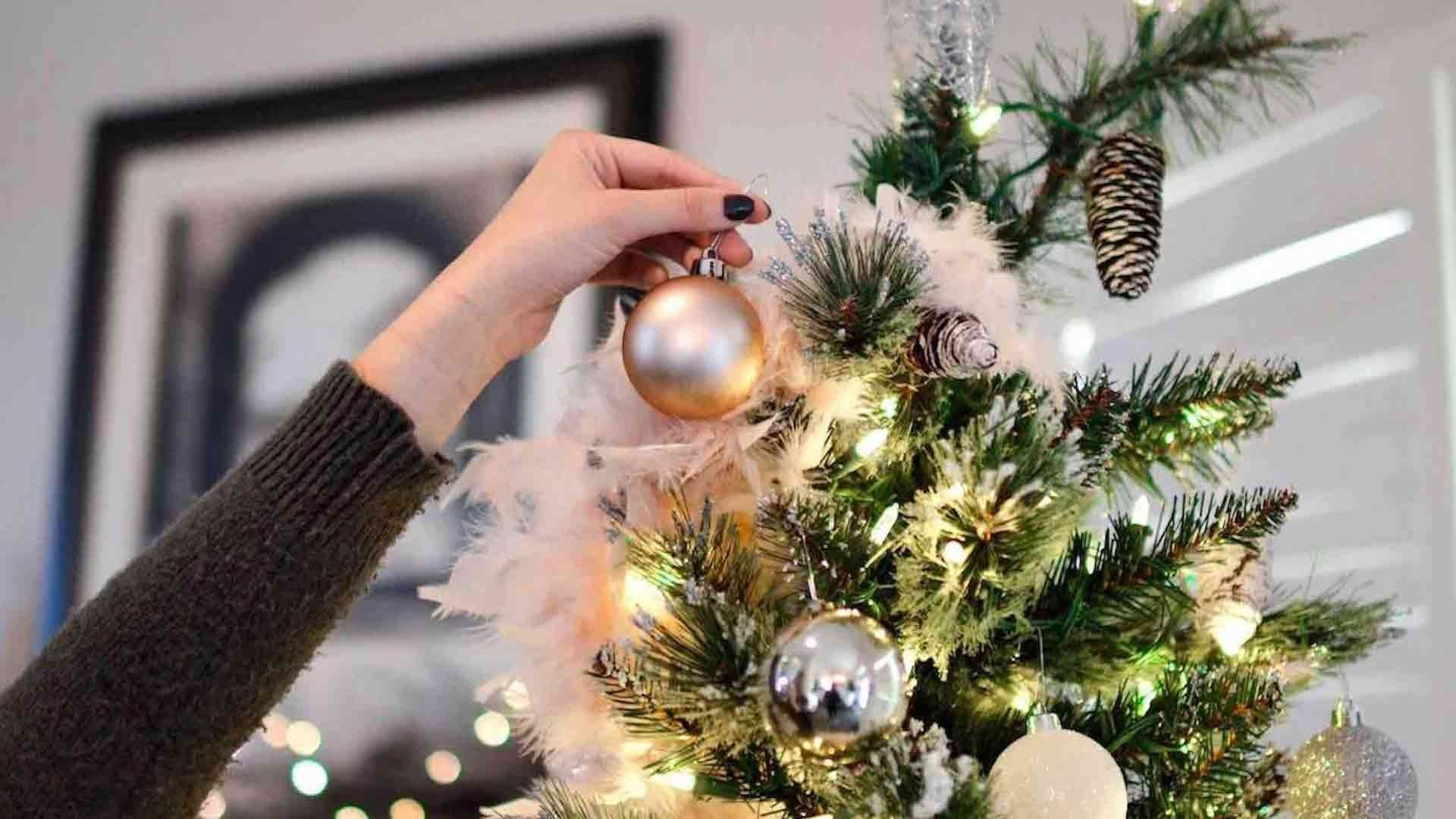 ¿Cuándo se pone el árbol de navidad?