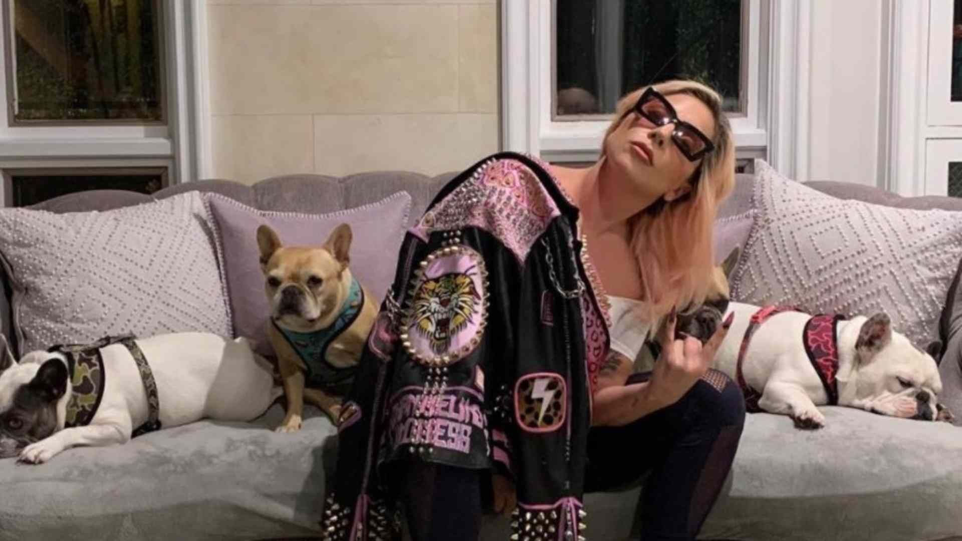 La cantante Lady Gaga con sus perros