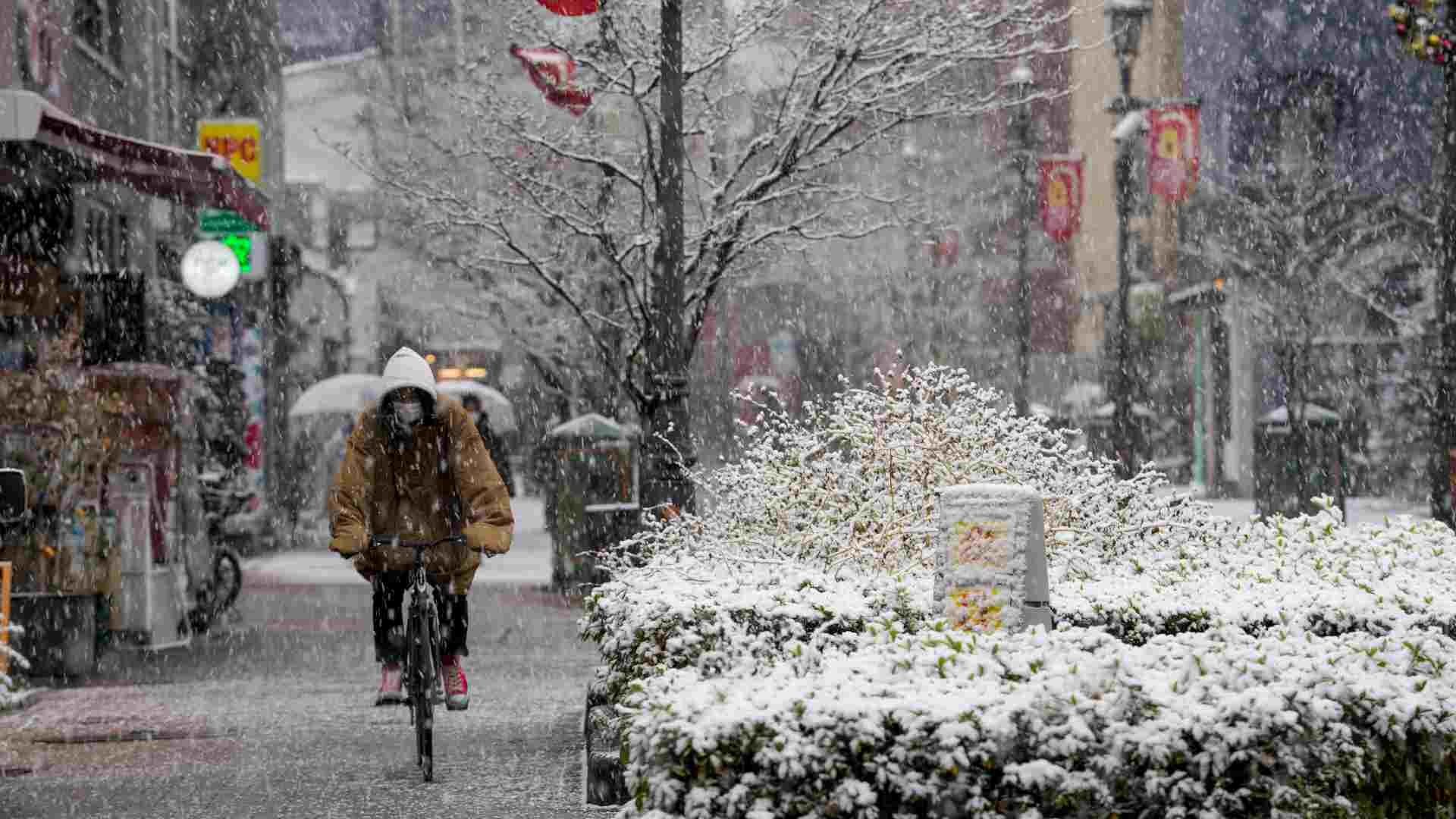 La Temporada De Clima Frío En Japón. Fotos, retratos, imágenes y