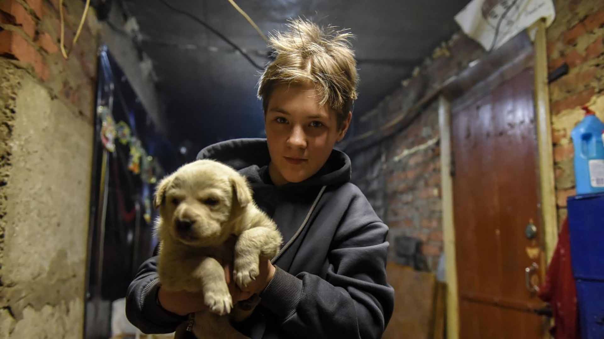 En Donetsk, Ucrania, la pequeña Evelina posa con su mascota, en el sótano de su casa