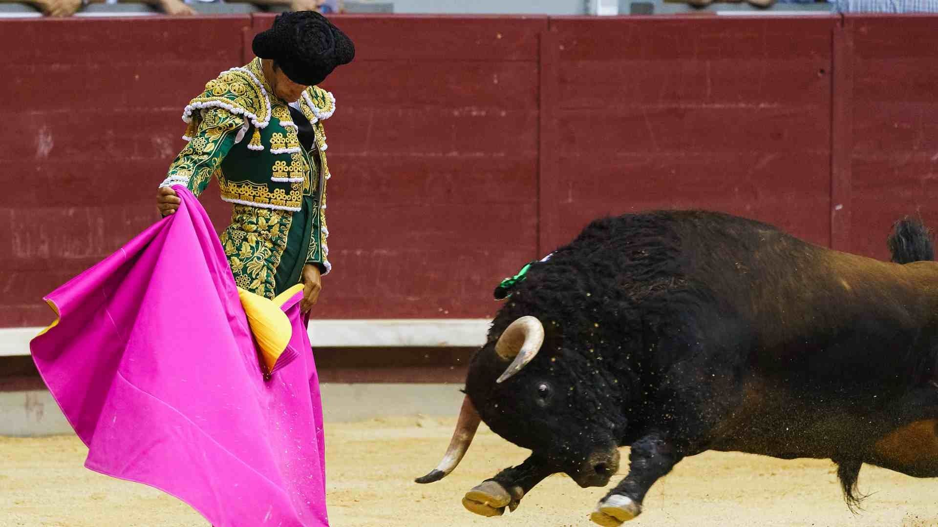 El gobierno de España se verá obligado a incluir las corridas de toros en un plan de "bonos culturales" 