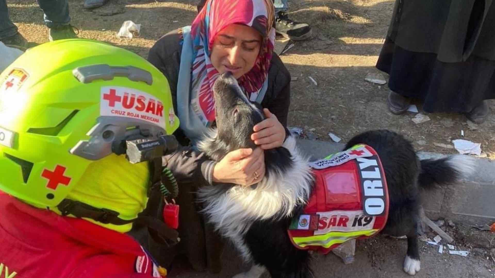 Orly, perro rescatista mexicano, consuela a una mujer en Turquía