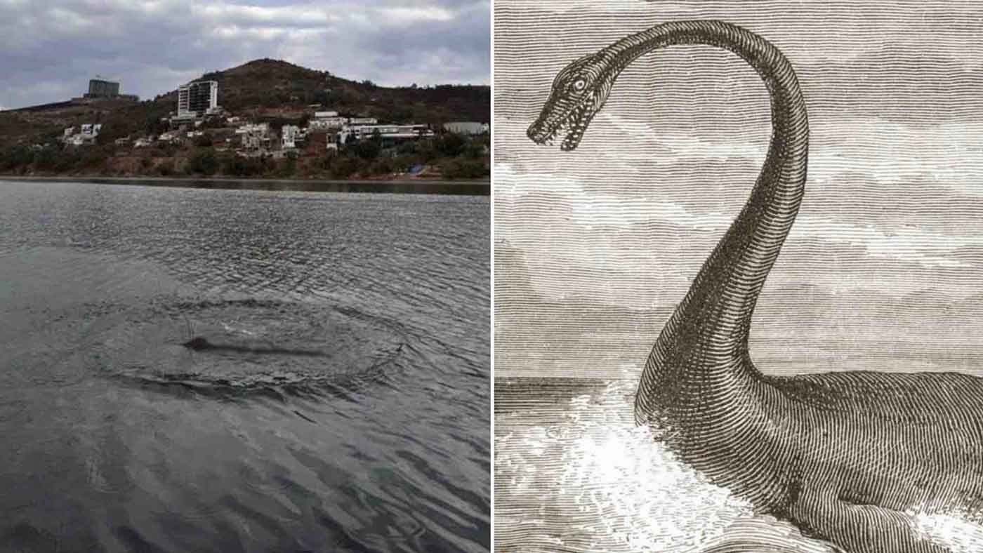 Reportan monstruo o dinosaurio en Presa Madín de Atizapán