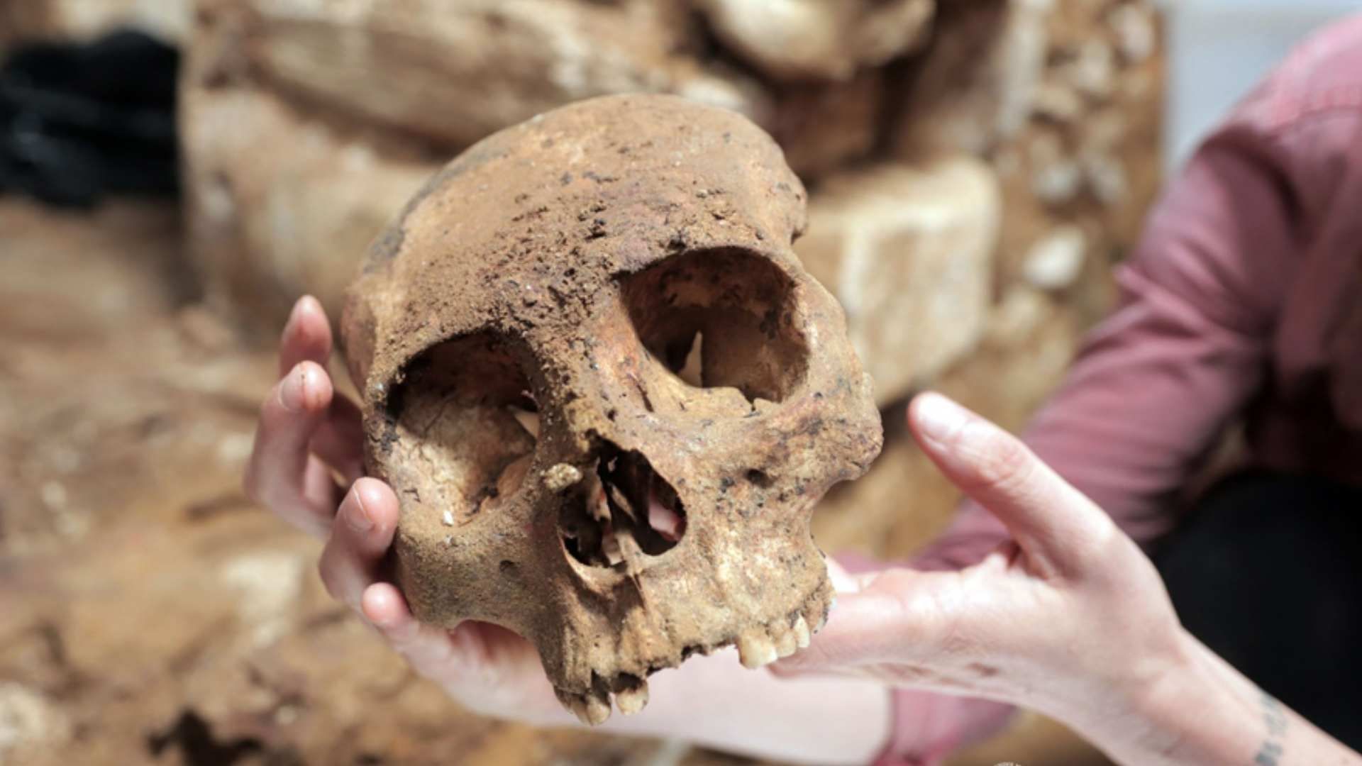 Hallan Cámara Funeraria Maya en Palenque, Chiapas