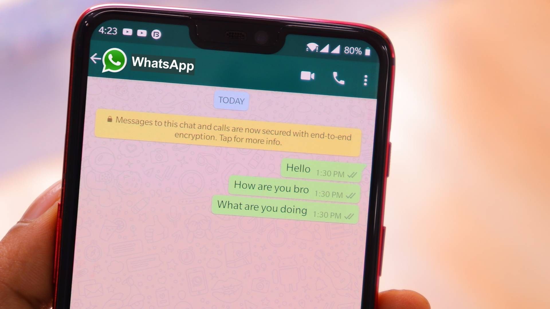 WhatsApp ya brinda trucos y actualizaciones a través de su chat oficial.
