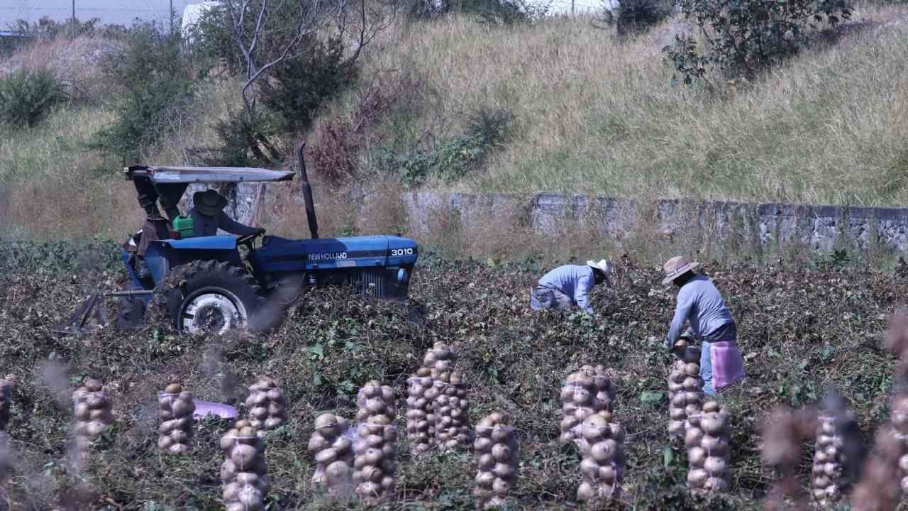 AMLO Envía Iniciativa Para Desaparecer Financiera Nacional de Desarrollo