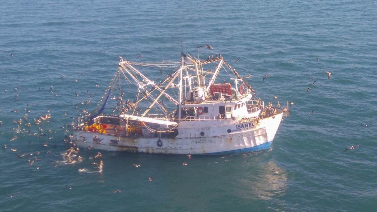 Elementos de Profepa vigilan refugio de la vaquita marina