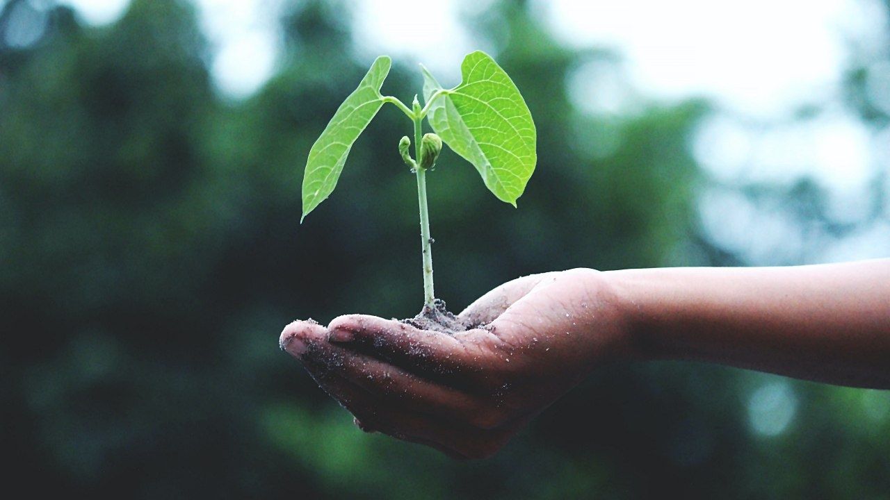 Google apuesta por la herramientas con inteligencia artificial para mitigar el cambio climático