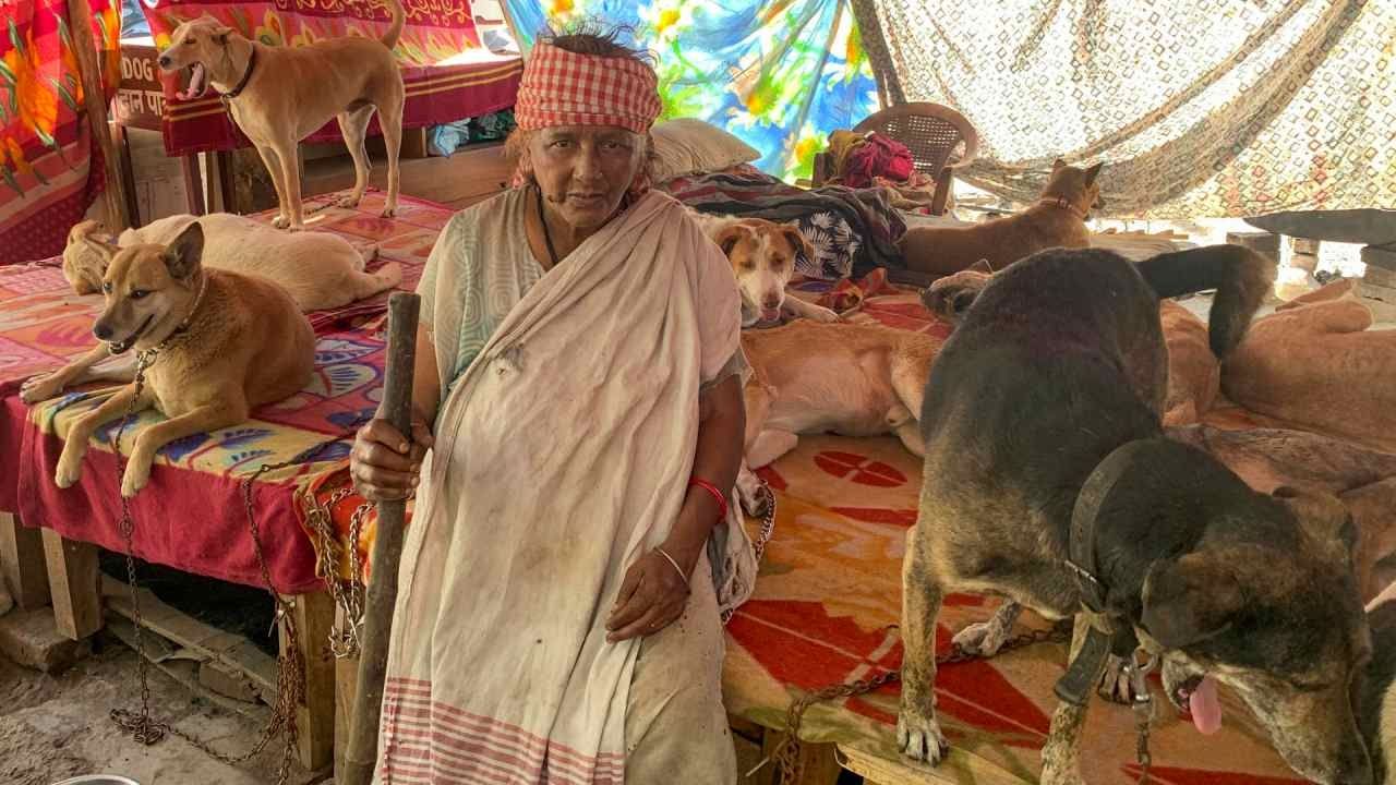 Una mujer de 80 años alimenta y cuida a 200 perros en India pero causa terror a sus vecinos