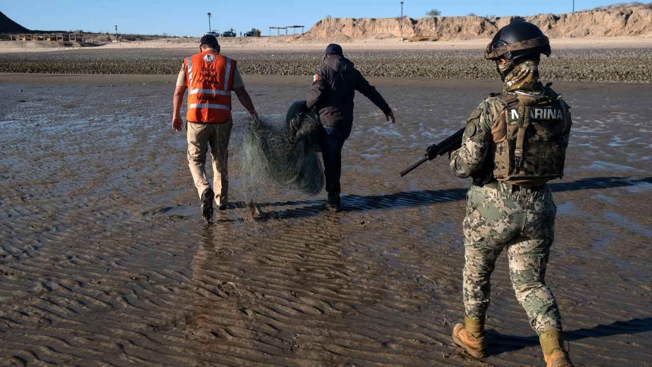 La Marina y la ONG Sea Shepherd trabajaron en la “Operación Milagro”, la cual liberó de redes de pesca ilegal la zona de la vaquita marina