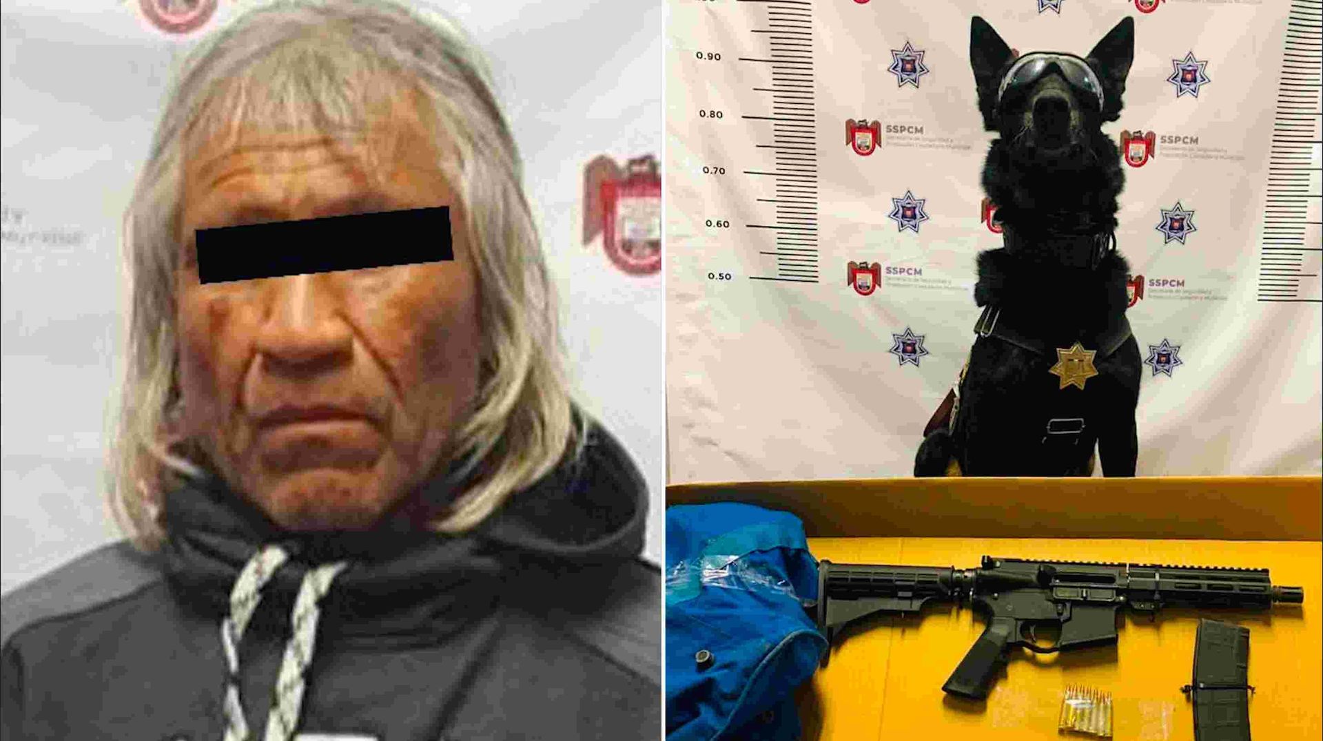 Agente K9 ayuda a localizar arma y droga a sujeto en Tijuana